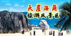 www肏屄海南三亚-天崖海角旅游风景区